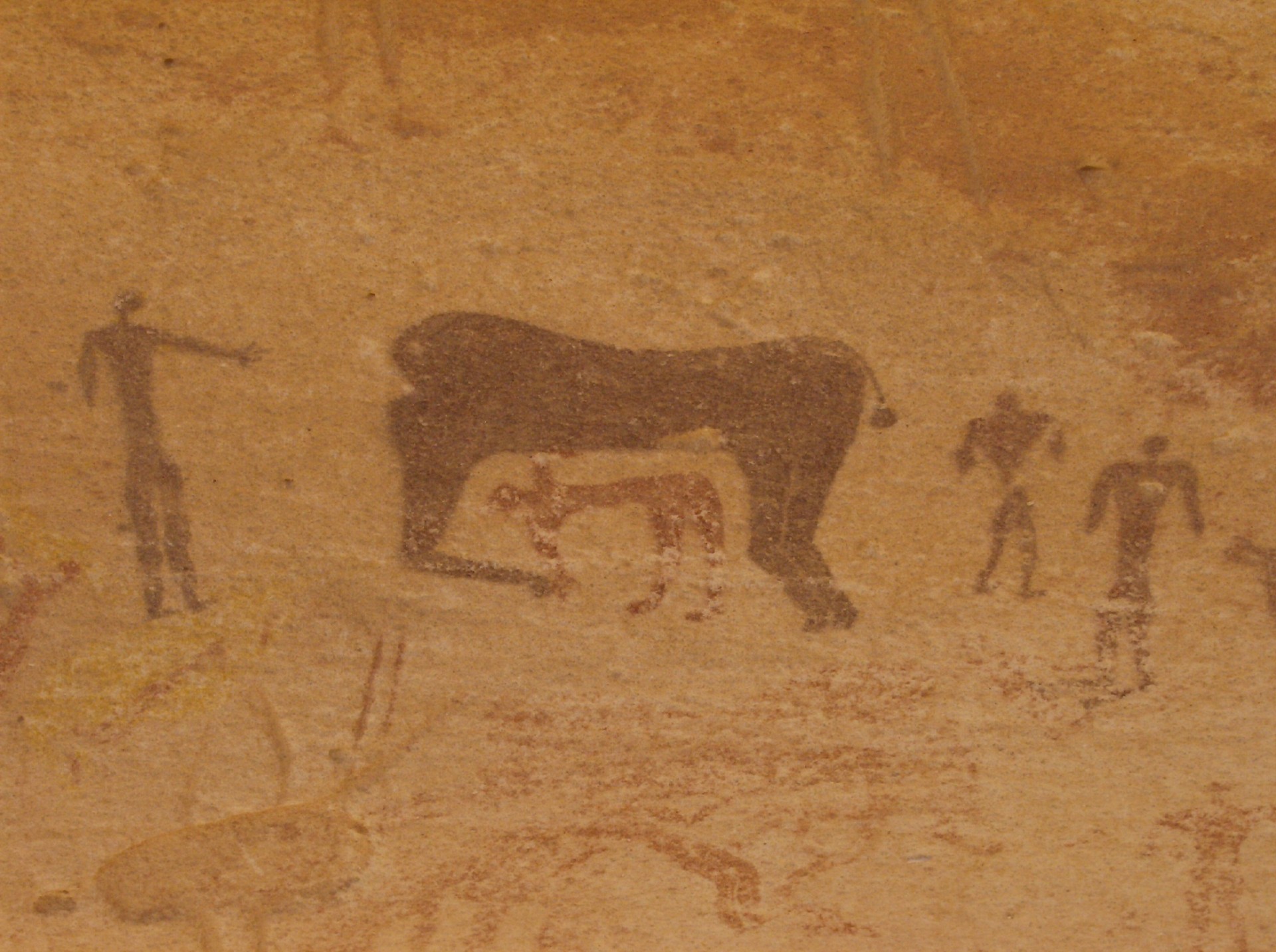   from the sahara to the nile the low representation of dangerous animals .....